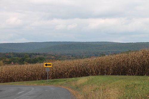 Roaring Creek Township, Columbia County, Pennsylvania